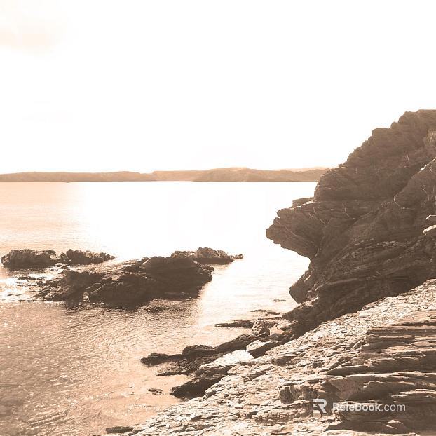 Coast texture