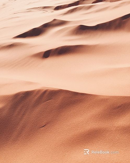 Desert texture