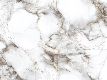 Marble Luxury Stone Modern Style Italian Style New Chinese Style White Golden Marble texture (ID:ffach976900)