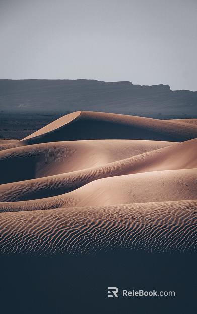 Desert texture