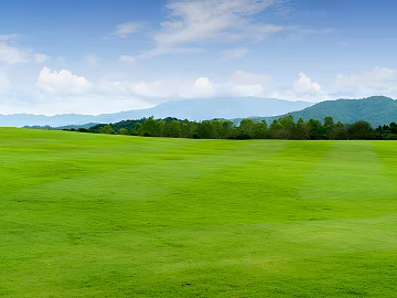 Wild Scenery texture (ID:ffach574710)