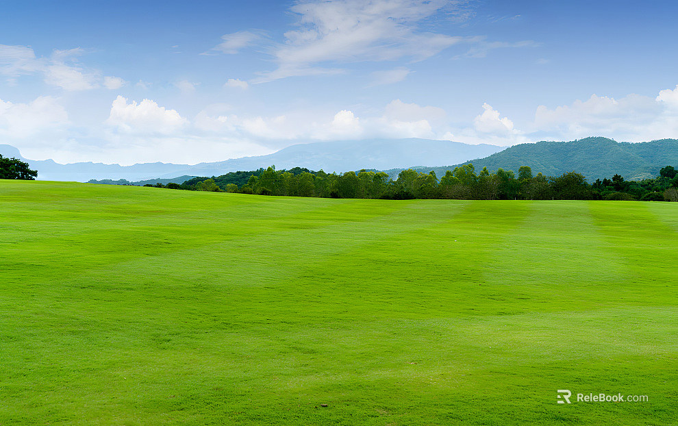 Wild Scenery texture