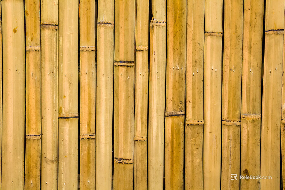 Bamboo texture