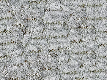 pile carpet texture (ID:ffach043466)