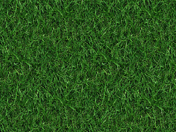 Turf texture (ID:ffacg93244)