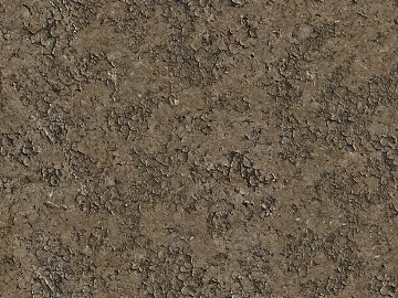 Mud texture (ID:ffaif2381)
