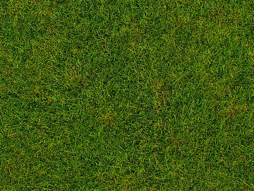 Turf texture (ID:ffagg15434)