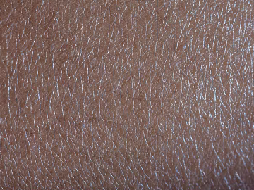 Skin texture (ID:ffagg57953)