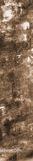 Curry Rock Wall Stone texture