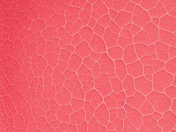 Wallpaper texture (ID:ffaeh241116)