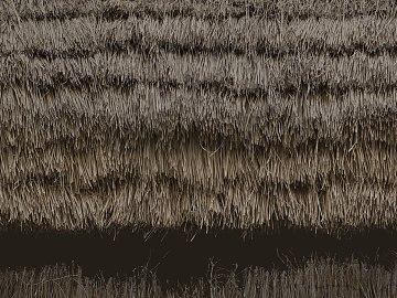 Thatched roof texture (ID:ffacg89807)