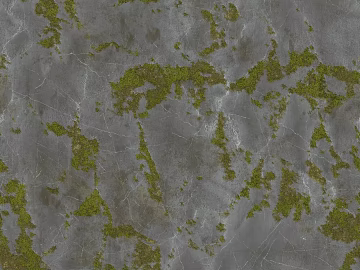 moss texture (ID:ffajg89143)