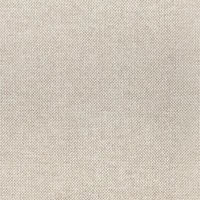 Plain Fabric