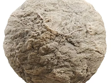 Rock face PBR texture (ID:ffach648164)