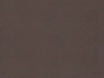 fine grain leather 3d model