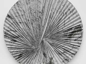 Sector texture (ID:ffajg43700)