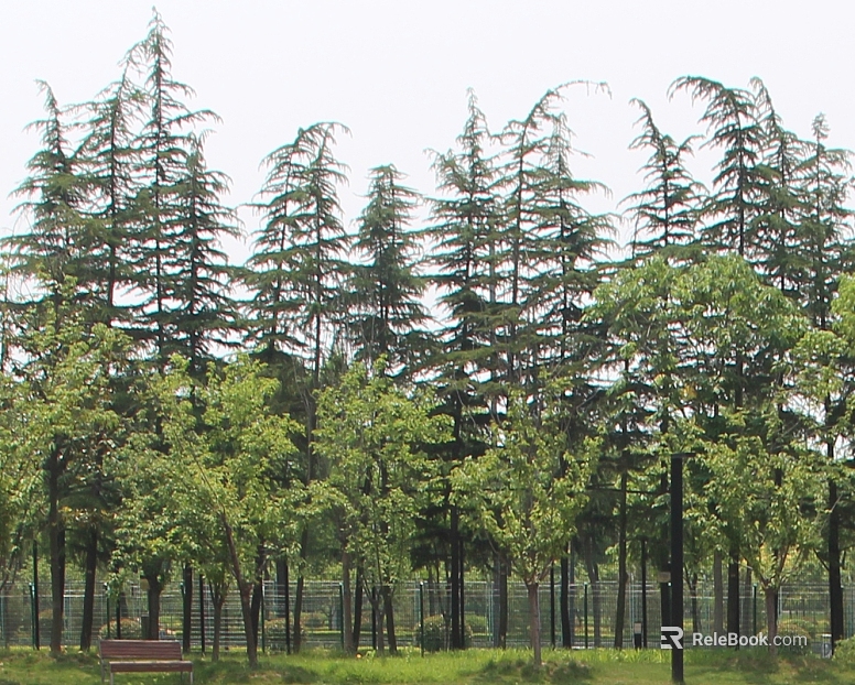 Park Exterior texture