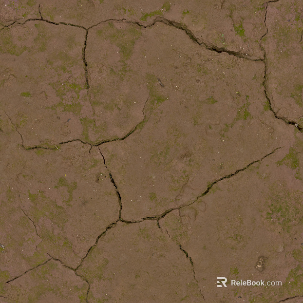 Mud texture
