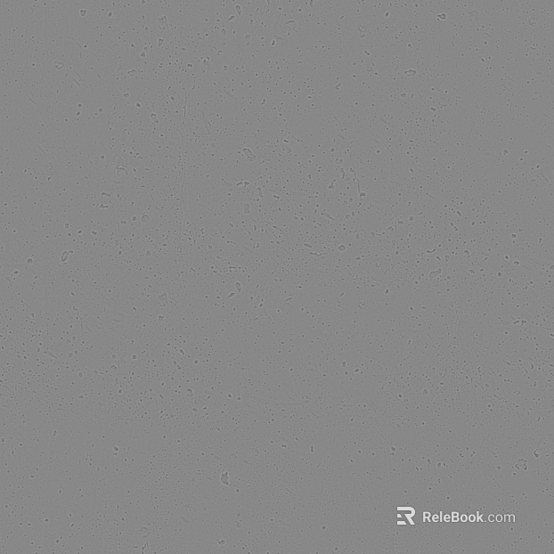 Highlight Mask texture