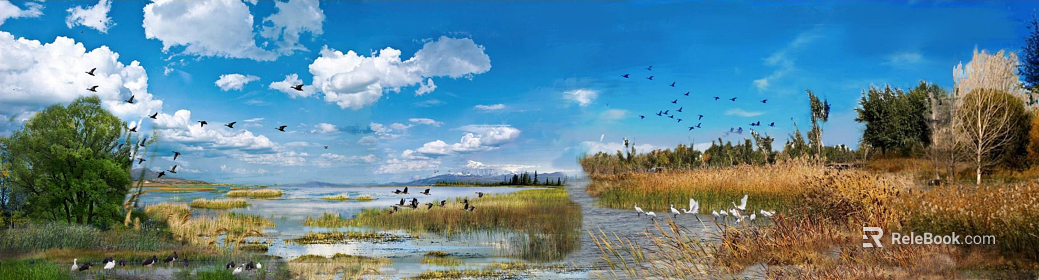 Wild Scenery texture