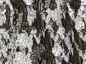 bark texture (ID:ffabg42085)