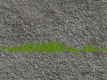 Ash gravel with moss outdoor ground texture (ID:ffaeh676184)