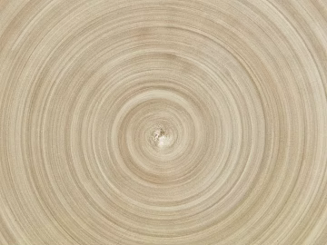 annual rings texture (ID:ffaag53896)