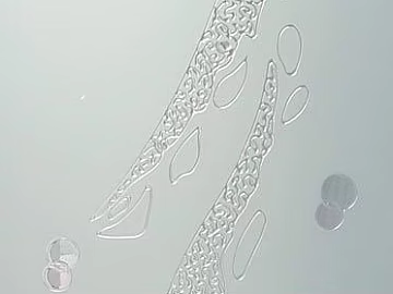 Art Glass texture (ID:ffajg06369)
