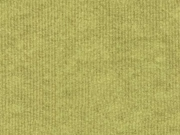 Plain pattern carpet 3d model