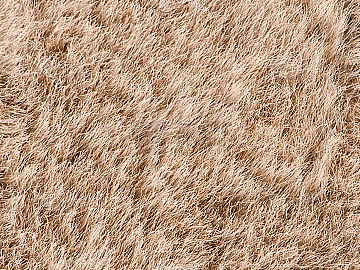 Fur carpet 3d model