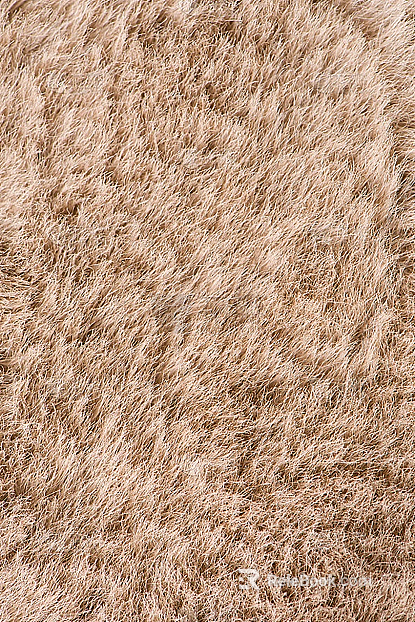 Fur carpet texture