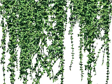 Plants texture (ID:ffaef3027)