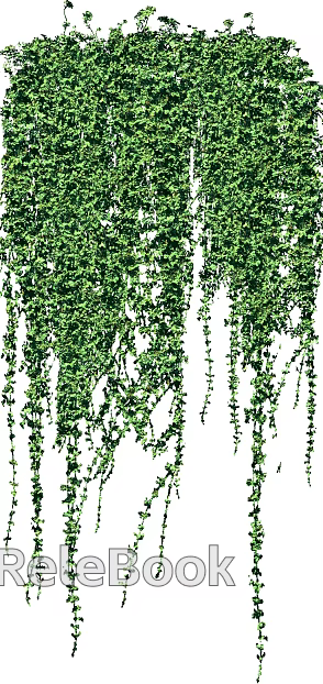 Plants texture