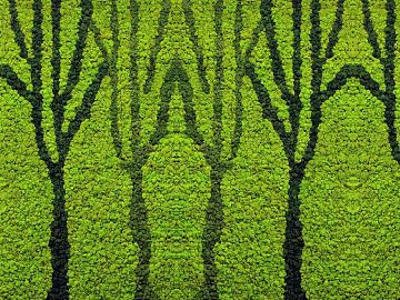 plant pattern texture (ID:ffaeg88000)