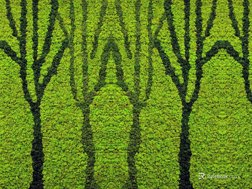 plant pattern texture