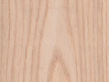 Wood grain red oak log color texture (ID:ffajg31331)