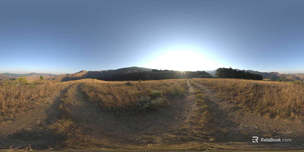 Outdoor Wild Grass Hill Daytime HDR texture