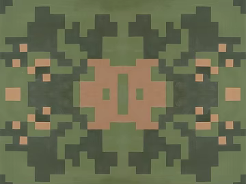 Camouflage 3d model