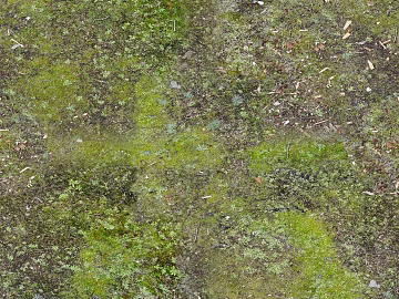 moss texture (ID:ffajg35016)