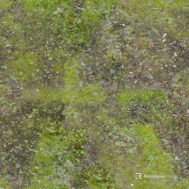 moss texture