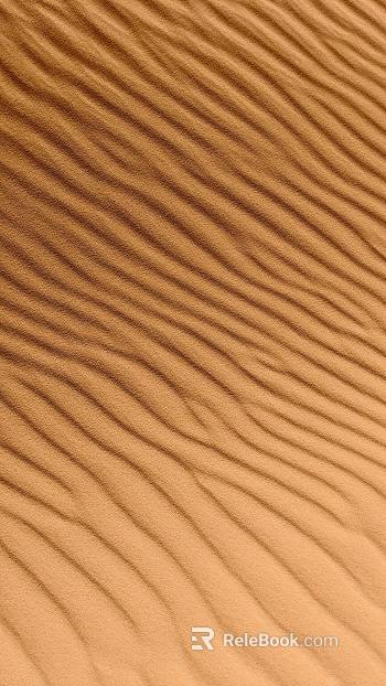 Beach texture