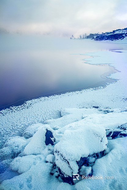 Wild Scenery texture