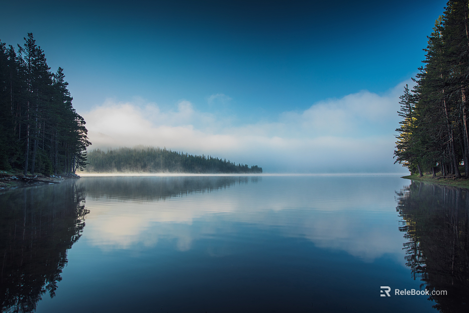 Wild Scenery texture