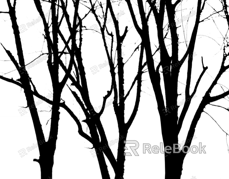 black and white tree shadow texture