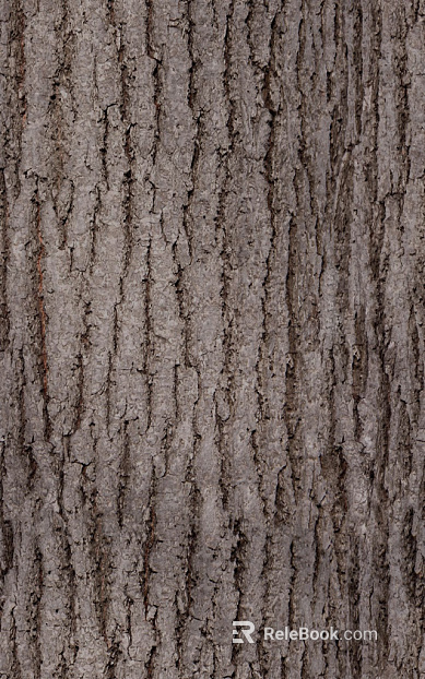 bark texture