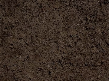 Muddy land texture (ID:ffajg16731)