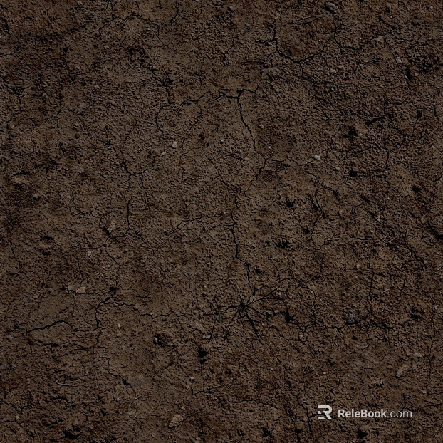 Muddy land texture