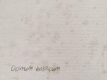 Cement texture (ID:ffaif2158)