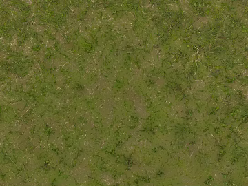 Turf texture (ID:ffabg60929)