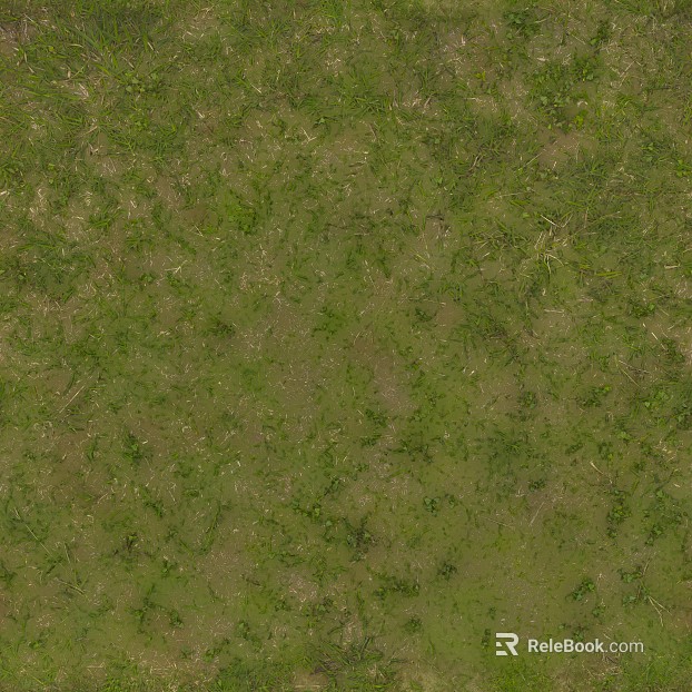 Turf texture